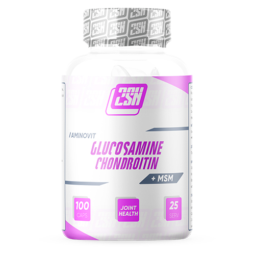 Глюкозамин-хондроитин Glucosamine + Chondroitin + MSM  600 mg 100 капс.